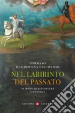 Nel labirinto del passato. 10 modi di riscrivere la storia libro