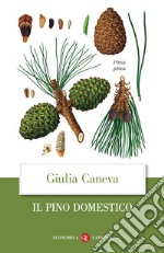 Il pino domestico libro