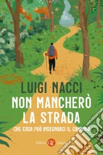 Non mancherò la strada. Che cosa può insegnarci il cammino libro