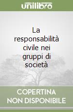 La responsabilità civile nei gruppi di società