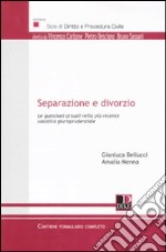 Separazione e divorzio. Le questioni attuali nella più recente casistica giurisprudenziale libro