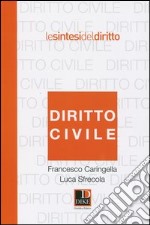 Diritto civile libro