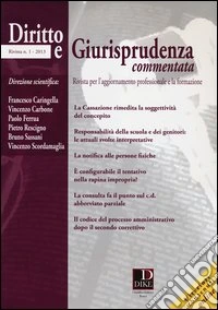 Diritto e giurisprudenza commentata (2013). Vol. 1