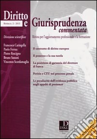 Diritto e giurisprudenza commentata (2013). Vol. 2