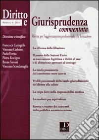Diritto e giurisprudenza commentata (2013). Vol. 4