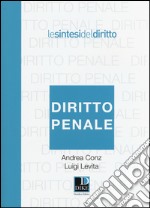 Diritto penale libro