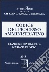 Codice del processo amministrativo libro di Caringella Francesco Protto Mariano