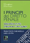 I principi del diritto penale. Indispensabili per gli scritti di magistratura e concorsi superiori libro di Caringella Francesco Levita Luigi