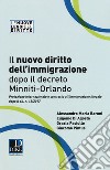 Il nuovo diritto dell'immigrazione dopo il decreto Minniti-Orlando. Protezione internazionale e contrasto all'immigrazione illegale dopo il d.l. n. 13/2017 libro