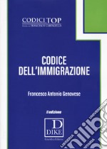 Codice dell'immigrazione