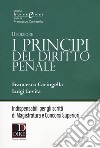 I principi del diritto penale. Indispensabili per gli scritti di magistratura e concorsi superiori libro