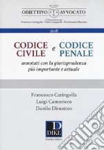 Codice civile e codice penale. Annotati con la giurisprudenza più importante e attuale libro