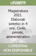 Magistratura 2021. Elaborati sintetici in 4 ore. Civile, penale, amministrativo libro