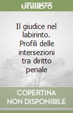 Il giudice nel labirinto. Profili delle intersezioni tra diritto penale libro