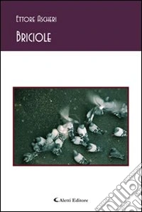 Briciole libro