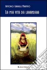 La mia vita da lavandaia