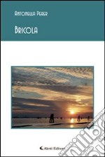 Bricola libro