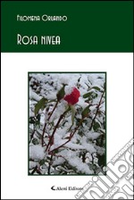 Rosa nivea