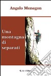 Una montagna di separati libro