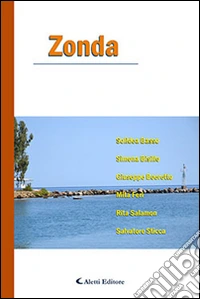 Zonda libro