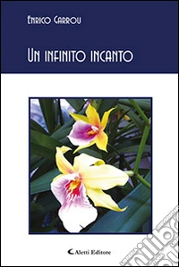 Un infinito incanto libro