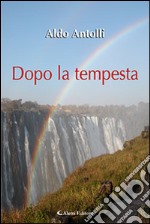 Dopo la tempesta libro