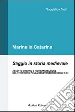 Saggio in storia medievale. Assetto urbano e riorganizzazione del territorio nella Benevento dei Sec. XI e XII libro