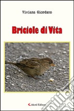 Briciole di vita libro