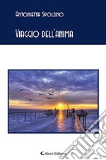 Viaggio dell'anima