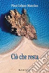 Ciò che resta libro