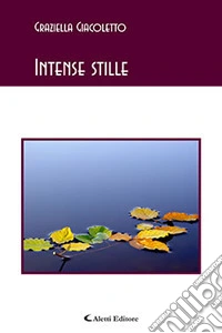 Intense stille libro