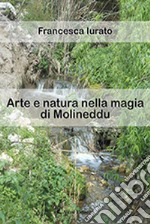 Arte e natura nella magia di Molineddu. Ediz. illustrata libro