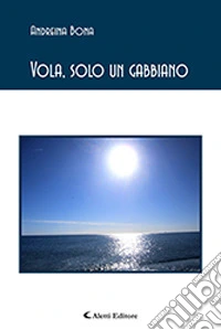 Vola, solo un gabbiano libro