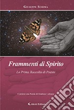 Frammenti di spirito libro