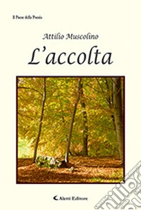 L'accolta libro