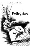 Pellegrino libro