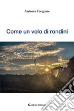 Come un volo di rondini libro