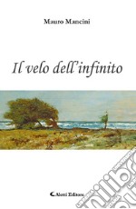 Il velo dell'infinito libro