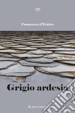 Grigio ardesia libro