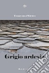 Grigio ardesia libro di D'Errico Francesca