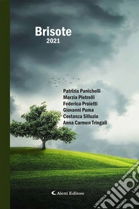 Brisote 2021 libro