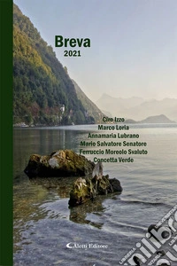 Breva 2021 libro
