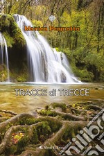 Tracce di trecce libro