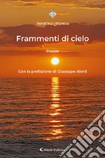 Frammenti di cielo libro