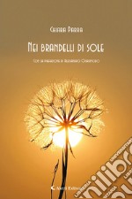 Nei brandelli di sole