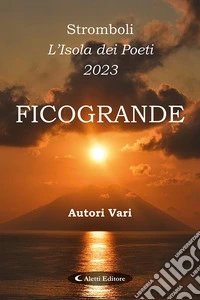 Stromboli l'Isola dei poeti. Ficogrande 2023 libro