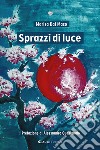 Sprazzi di luce libro