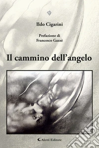 Il cammino dell'angelo libro
