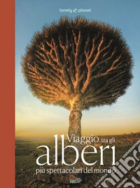 Viaggio tra gli alberi più spettacolari del mondo. Ediz. a colori libro