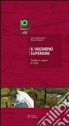 Il Valdarno Superiore. Territorio, storia e viaggi libro